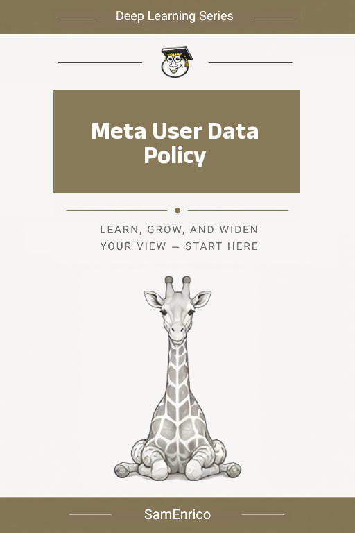 Meta User Data Policy