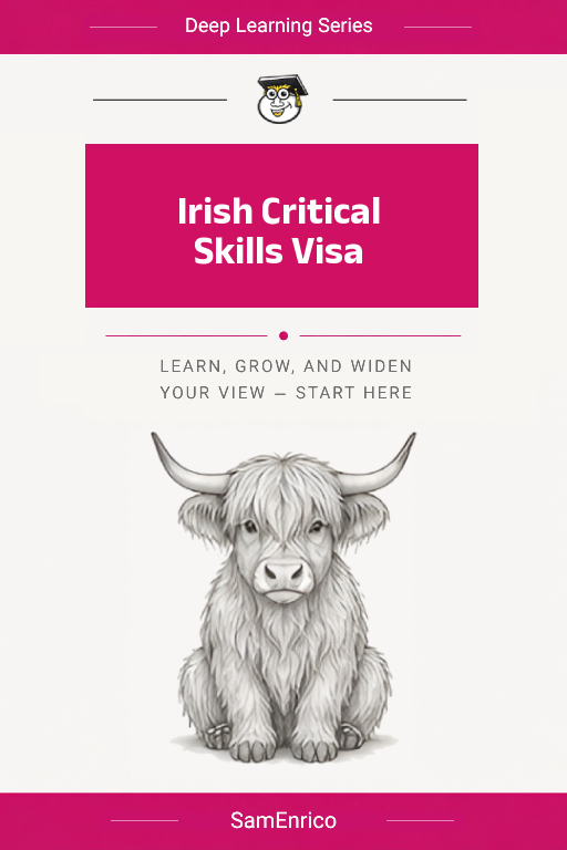 Irish Critical Skills Visa