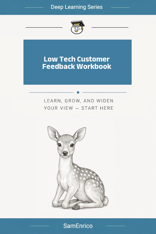 Low Tech Customer Feedback Workbook