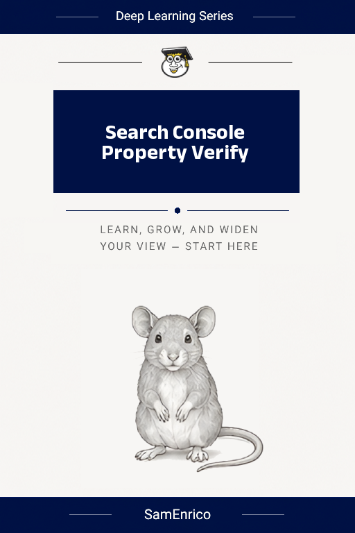 Search Console Property Verify