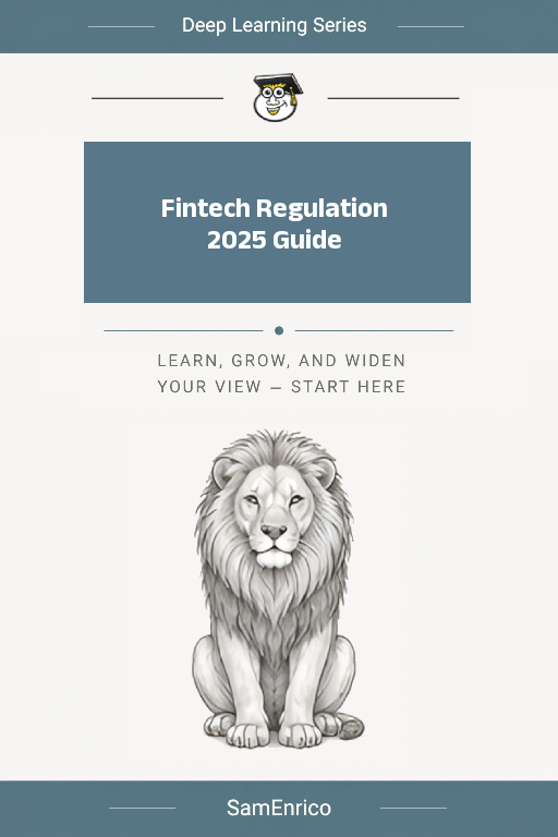Fintech Regulation 2025 Guide