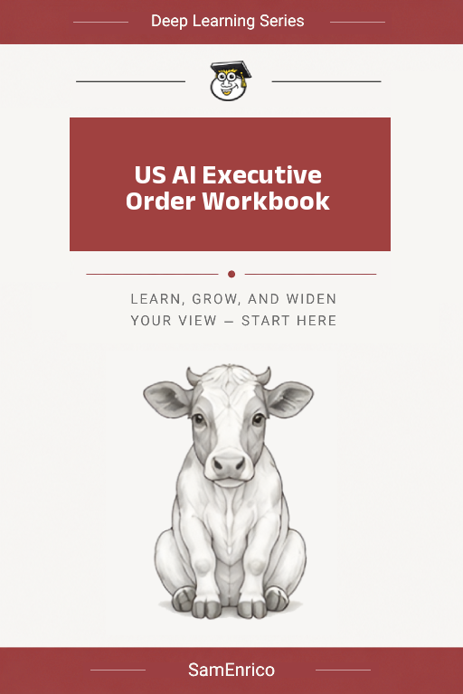 US AI Executive Order Workbook