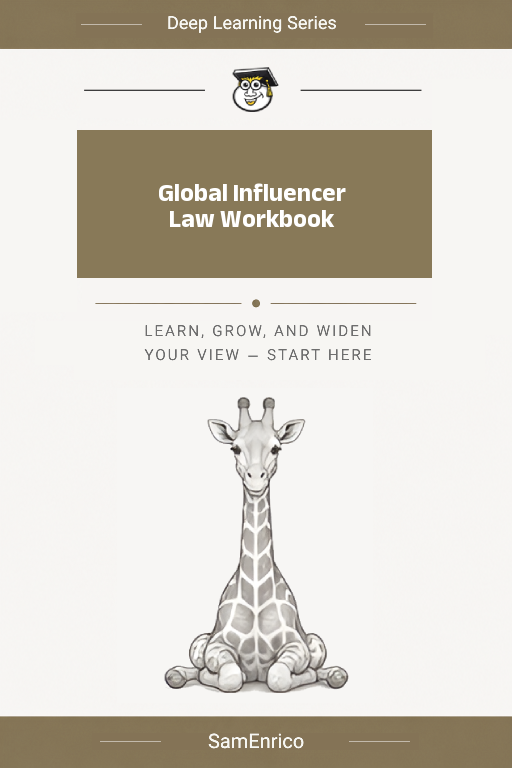 Global Influencer Law Workbook