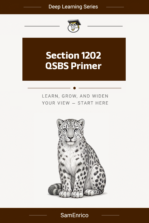 Section 1202 QSBS Primer