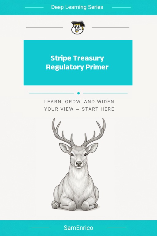 Stripe Treasury Regulatory Primer