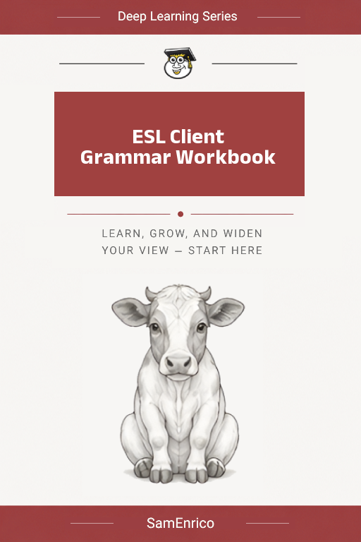 ESL Client Grammar Workbook