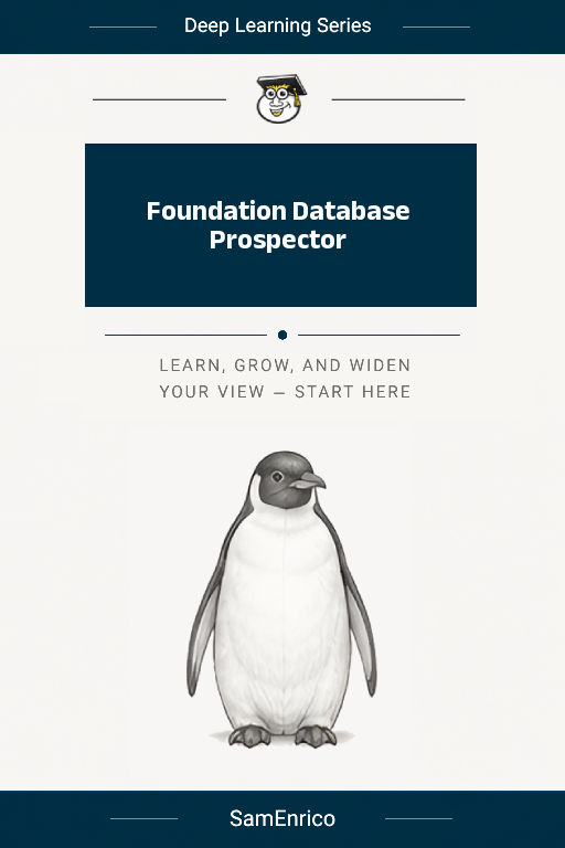 Foundation Database Prospector
