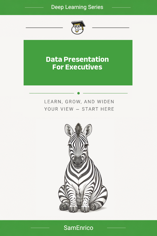 Data Presentation For Executives