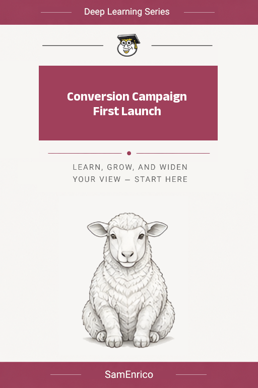 Conversion Campaign First Launch