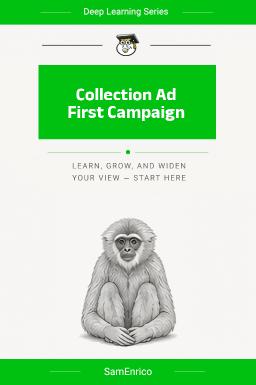 Collection Ad First Campaign
