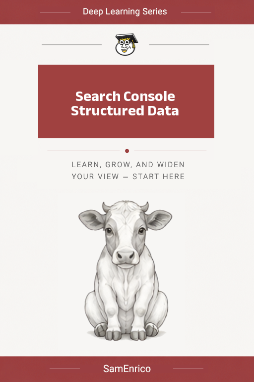 Search Console Structured Data