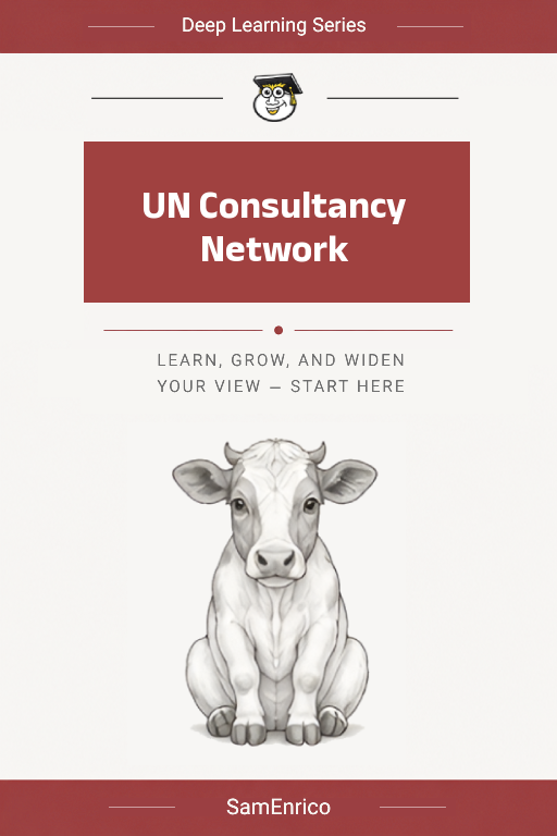 UN Consultancy Network