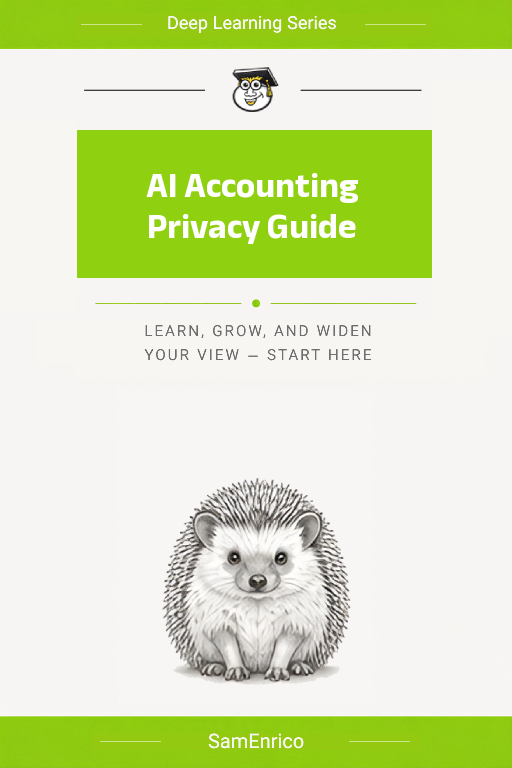 AI Accounting Privacy Guide