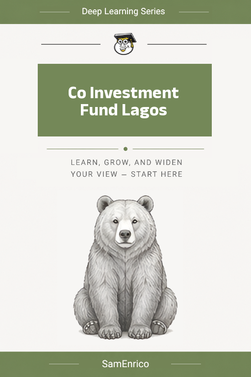 Co Investment Fund Lagos