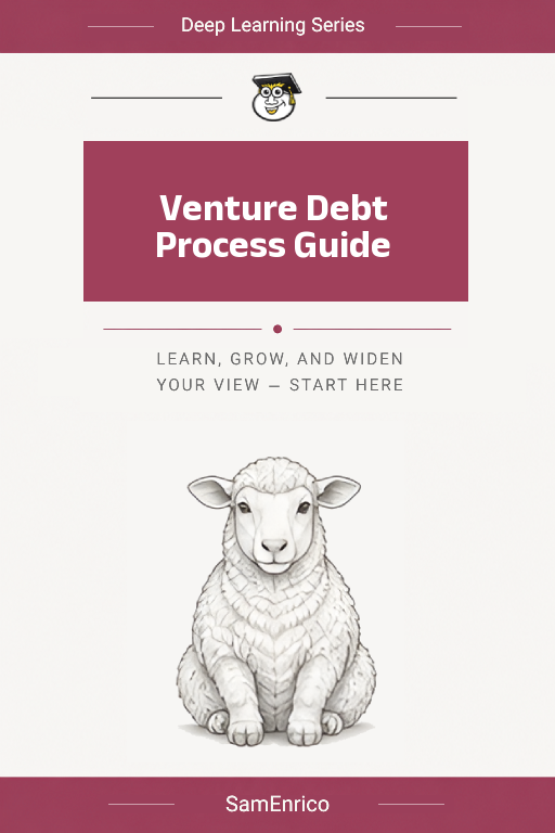 Venture Debt Process Guide
