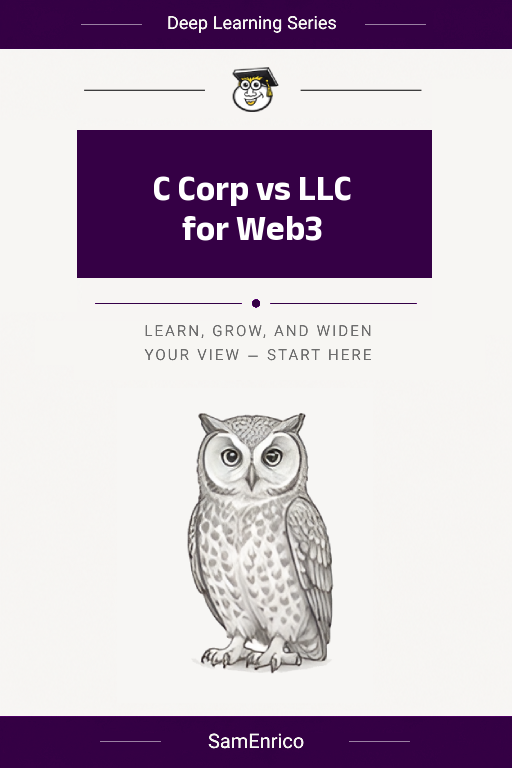 C Corp vs LLC for Web3