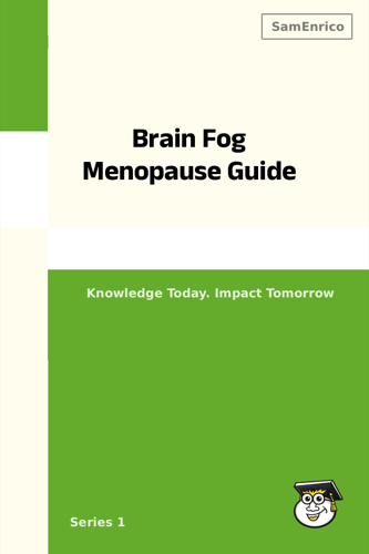 Brain Fog Menopause Guide