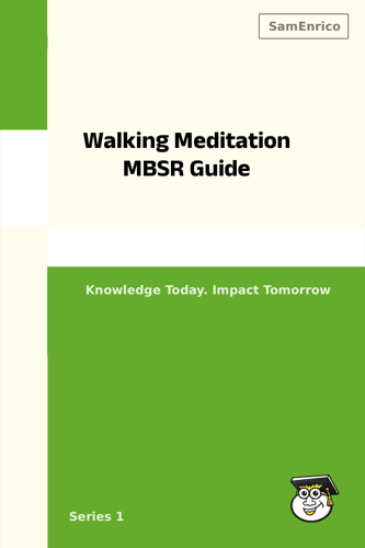 Walking Meditation MBSR Guide