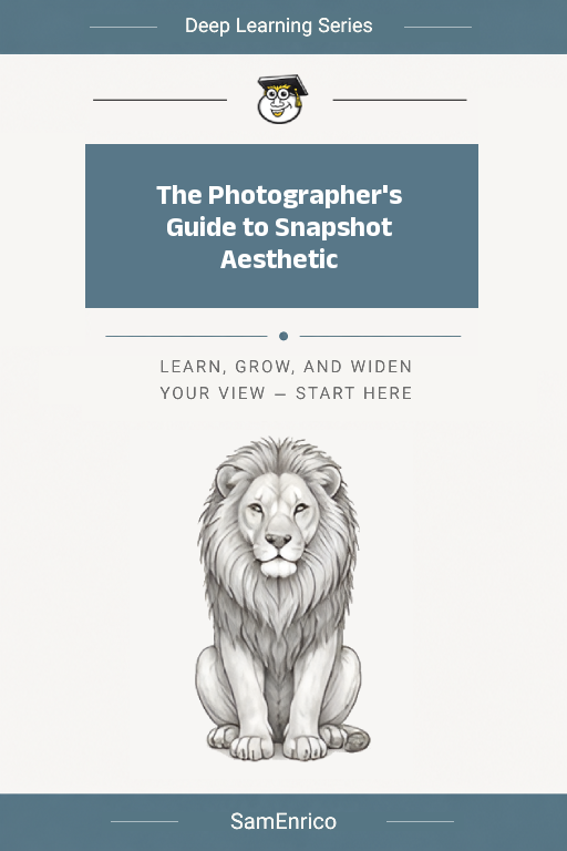 The Photographer's Guide to Snapshot Aesthetic