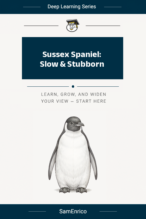 Sussex Spaniel: Slow & Stubborn